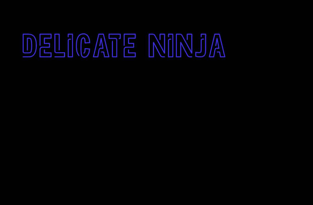 Custom Order: Delicate Ninja