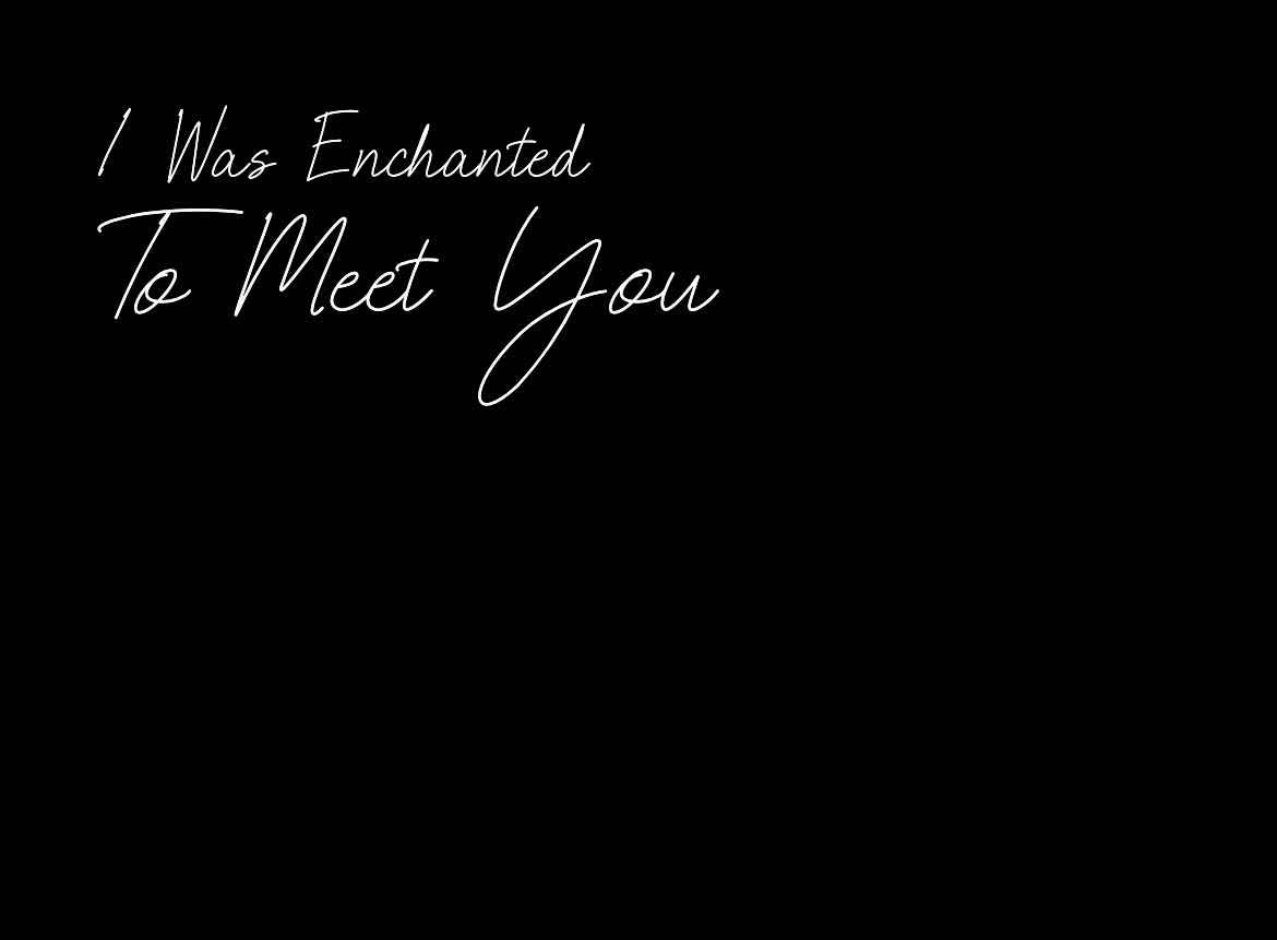 Custom Order: I Was Enchanted  To Meet You
