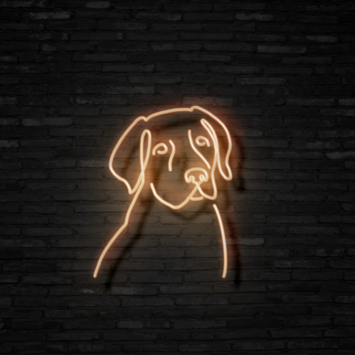 Labrador - Neon Mama