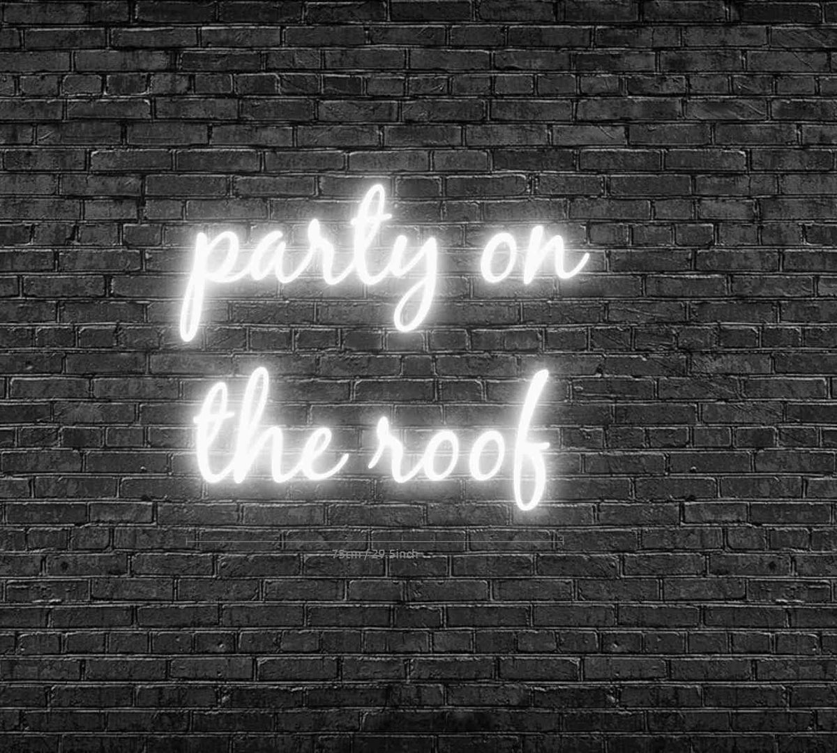 Custom Order: party on the roof