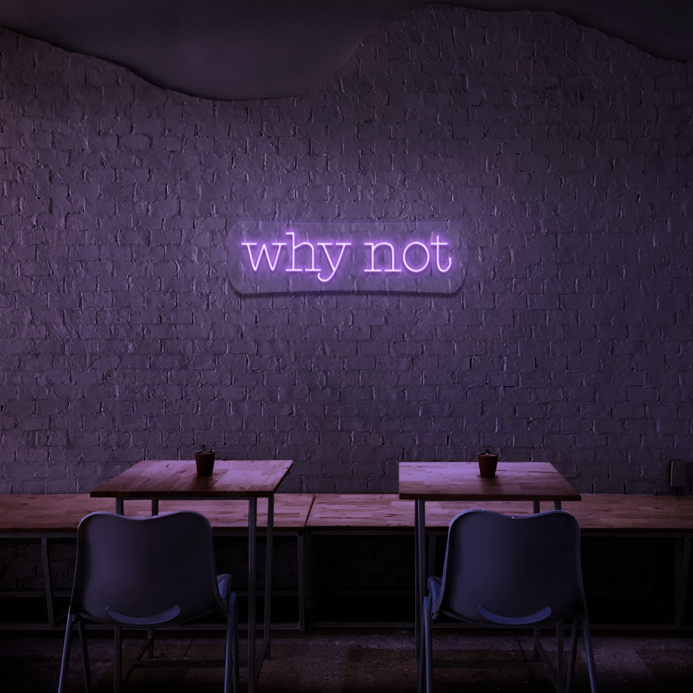 Why Not - Neon Sign